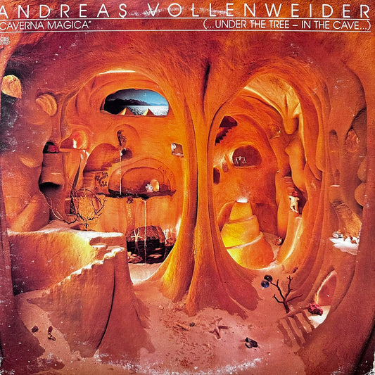 UNDER THE TREE-IN THE CAVE - ANDREAS VOLLENWEIDER