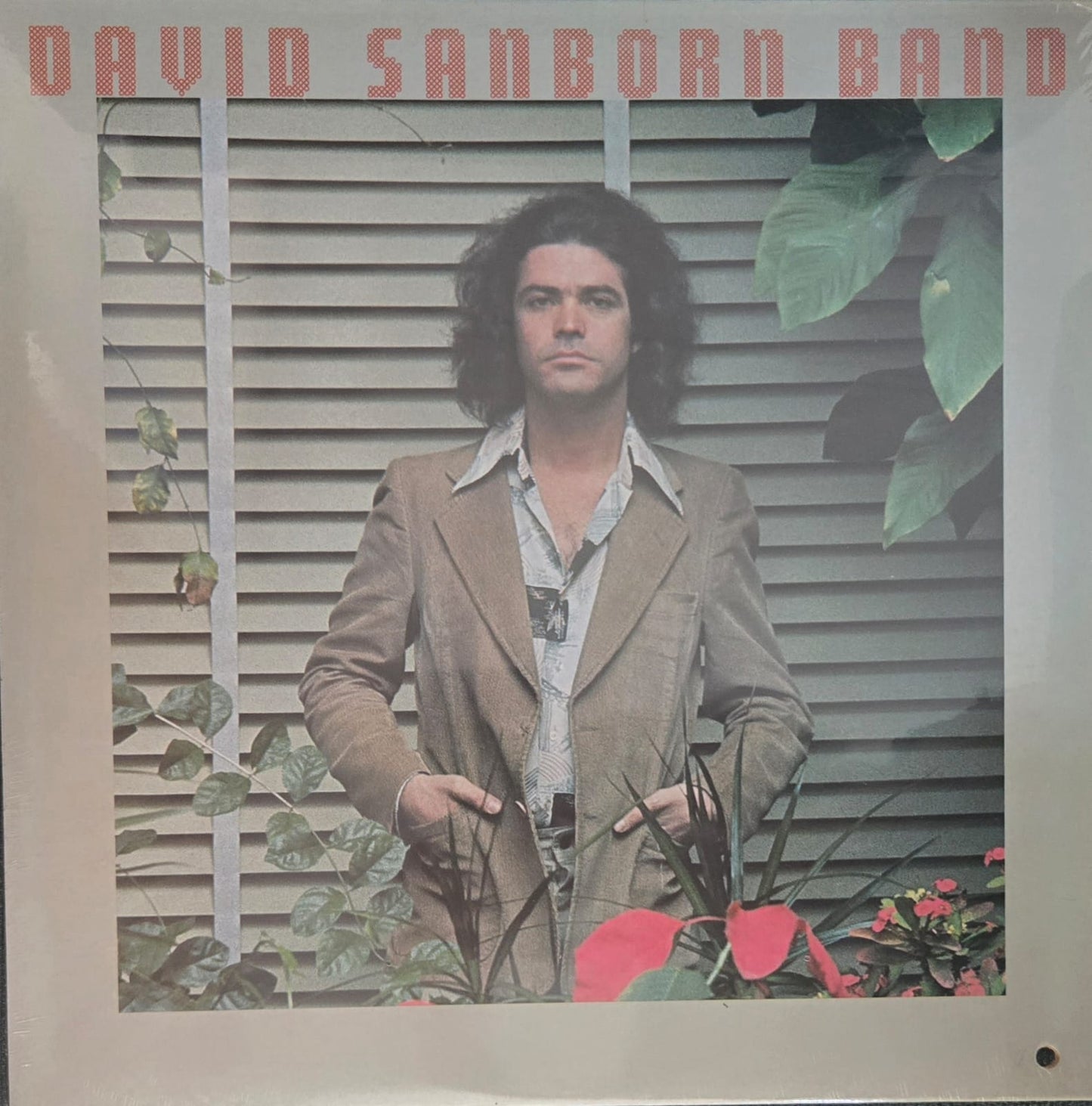 Promise me the moon - David Sanborn Band