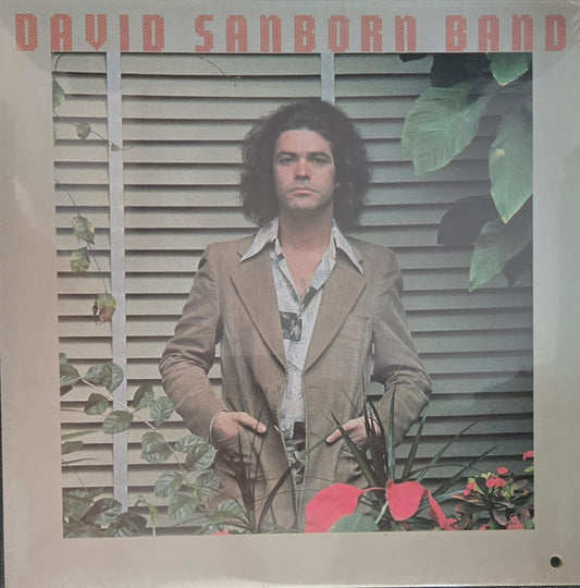 Promise me the moon - David Sanborn Band