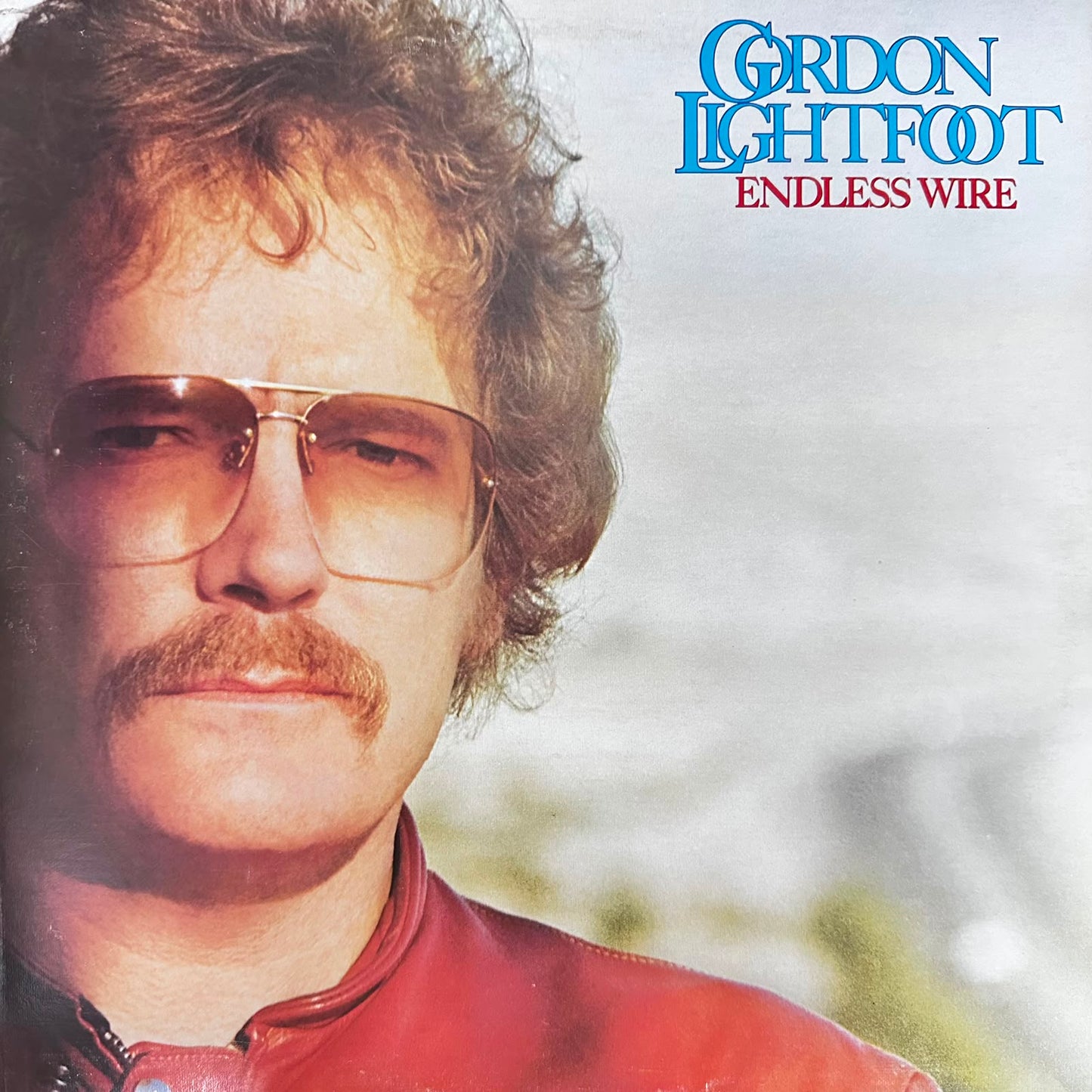 Endless Wire - Gordon Lightfoot