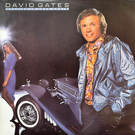 FALLING IN LOVE AGAIN - DAVID GATES