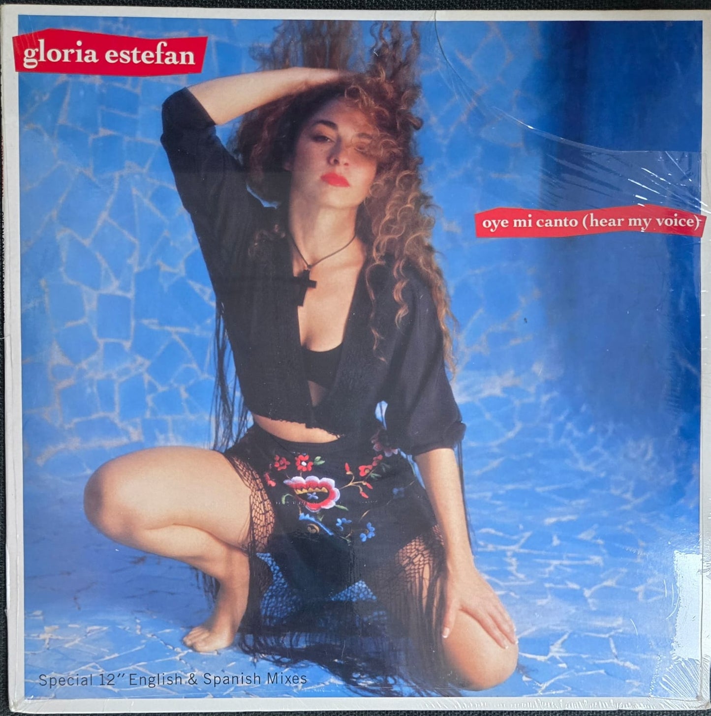 OYE MI CANTO (HEAR MY VOICE) - GLORIA ESTEFAN