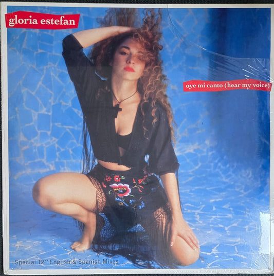 OYE MI CANTO (HEAR MY VOICE) - GLORIA ESTEFAN