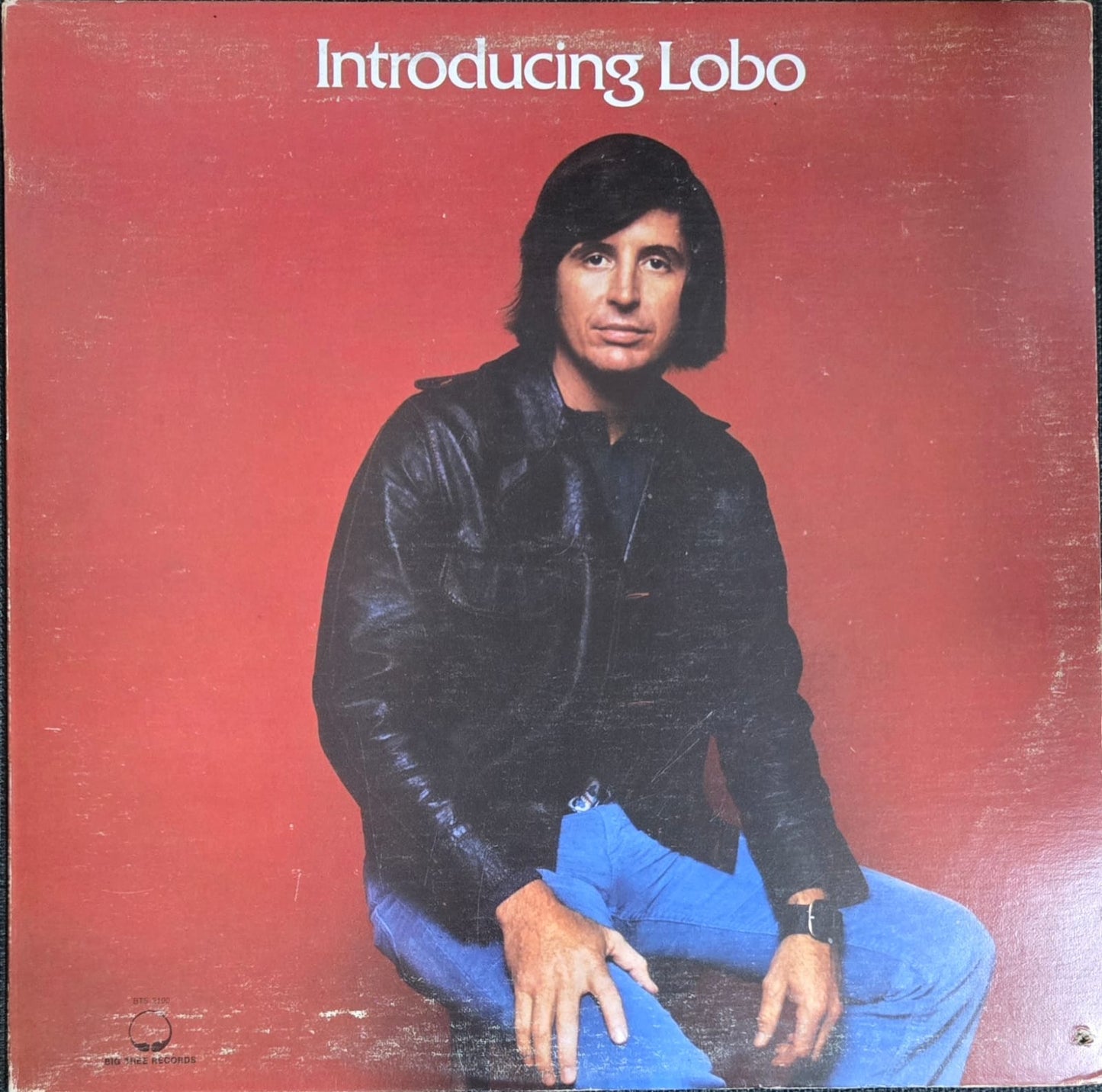 INTRODUCING LOBO