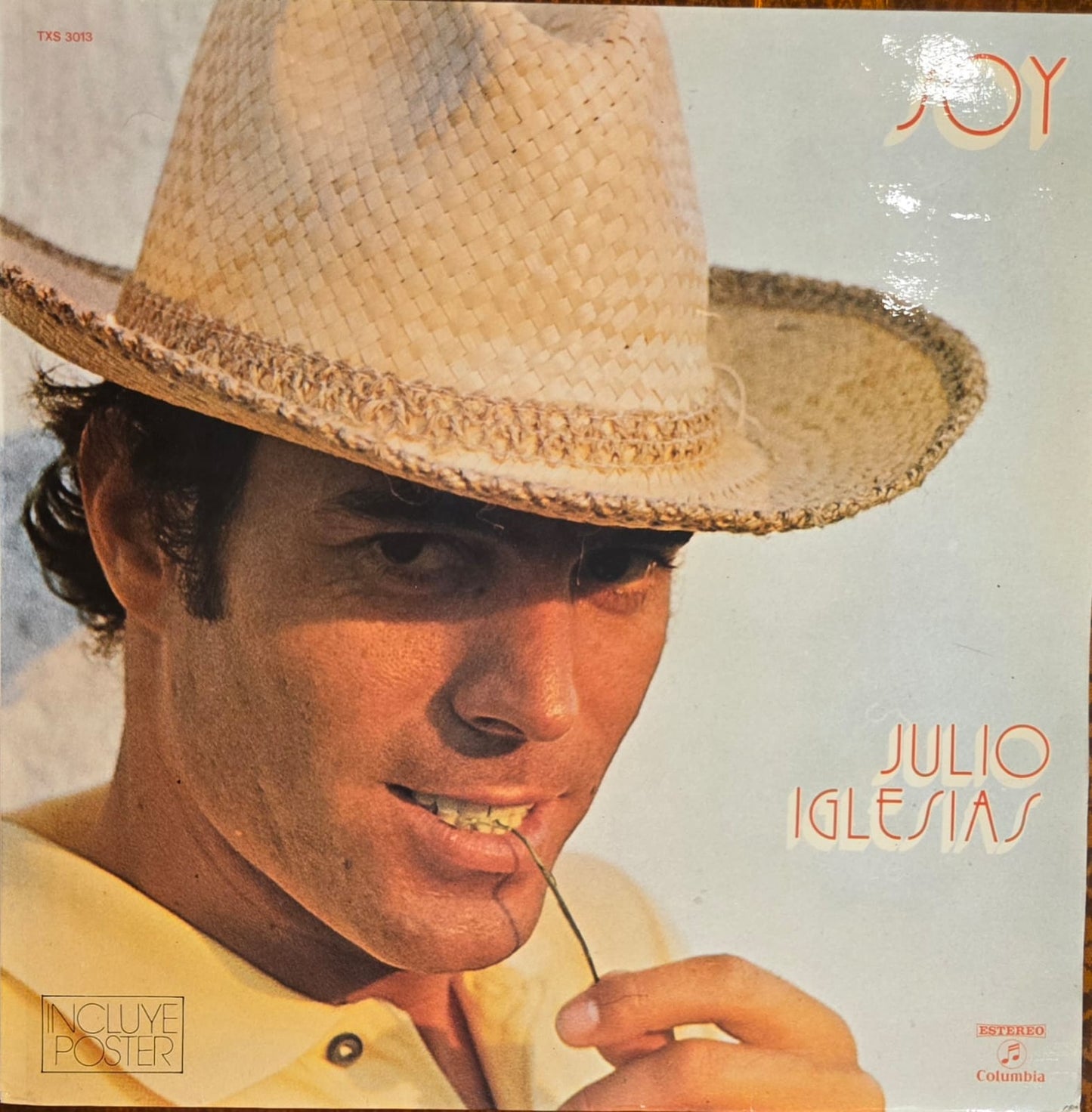 Soy - Julio Iglesias