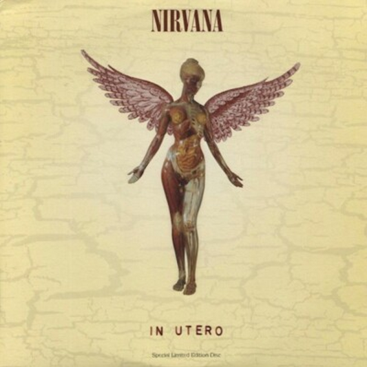 IN UTERO - NIRVANA