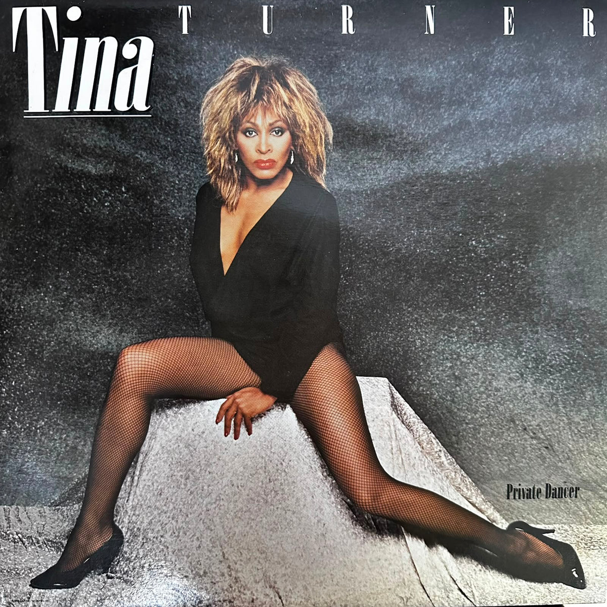 Tina Turner - Private Dancer