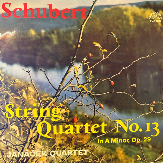 Schubert - String Quartet No. 13 in A Minor by Janacek Quartet
