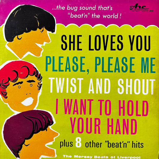 SHE LOVES YOU - VARIOUS ARTIST