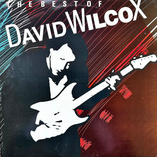 DAVID WILCOX - THE BEST OF DAVID WILCOX