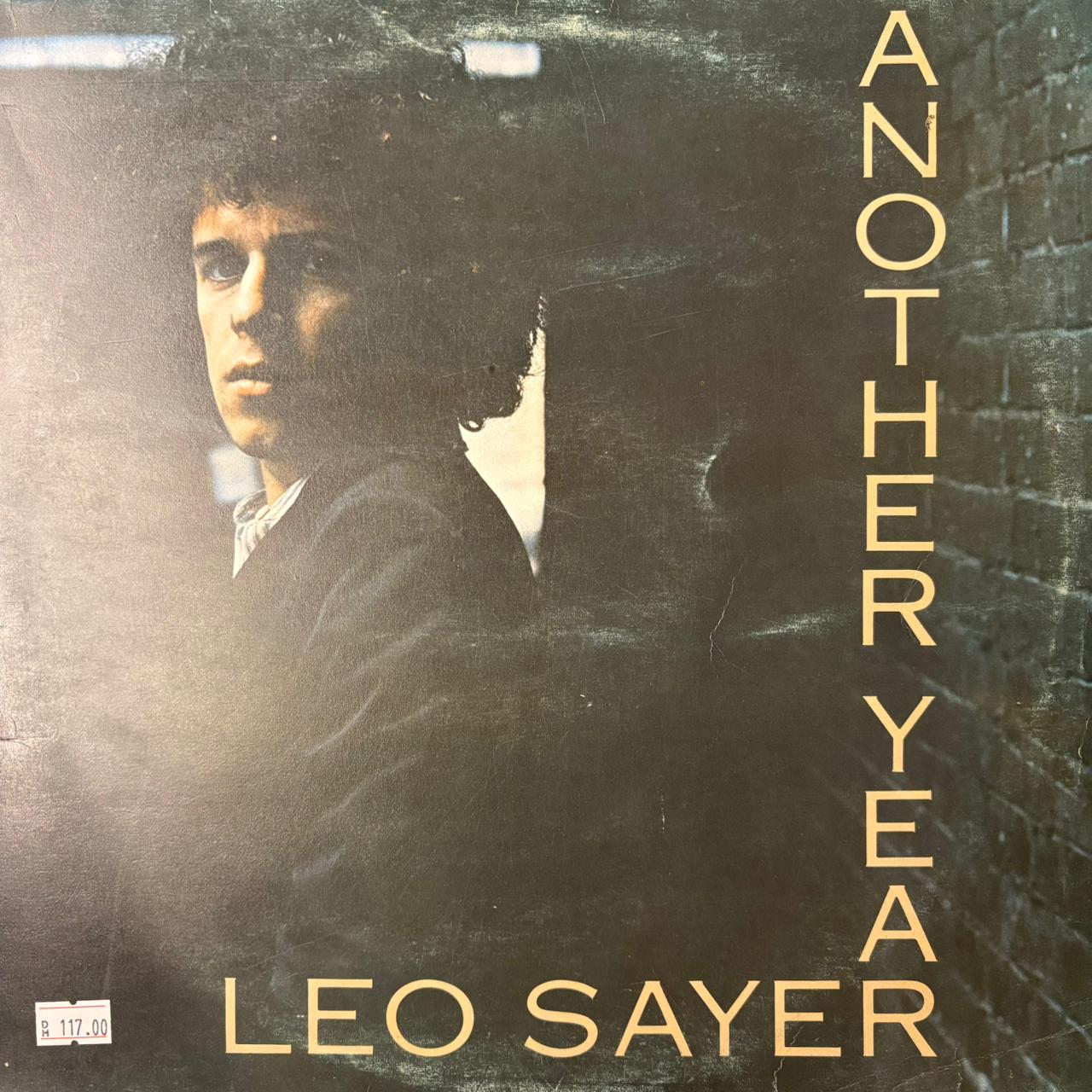 Another Year -  Leo Slayer